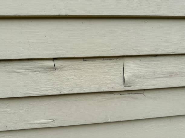Best Composite Siding  in Forestville, OH